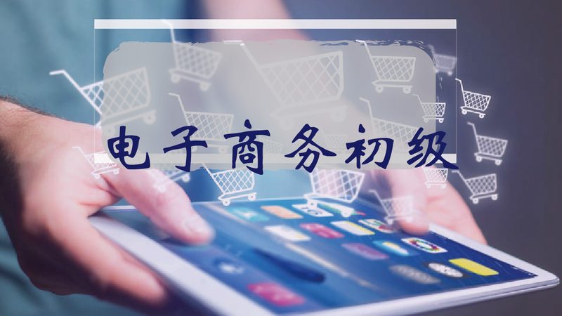 跨境电商代运营加盟合同细节
