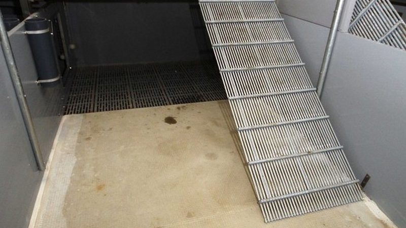 独立站建站公司哪家靠谱